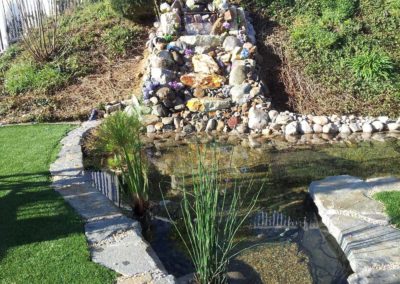 backyard pondd 1