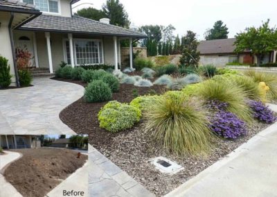 landscpae design in orange county 1