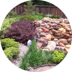 Landscape Design in Orange County